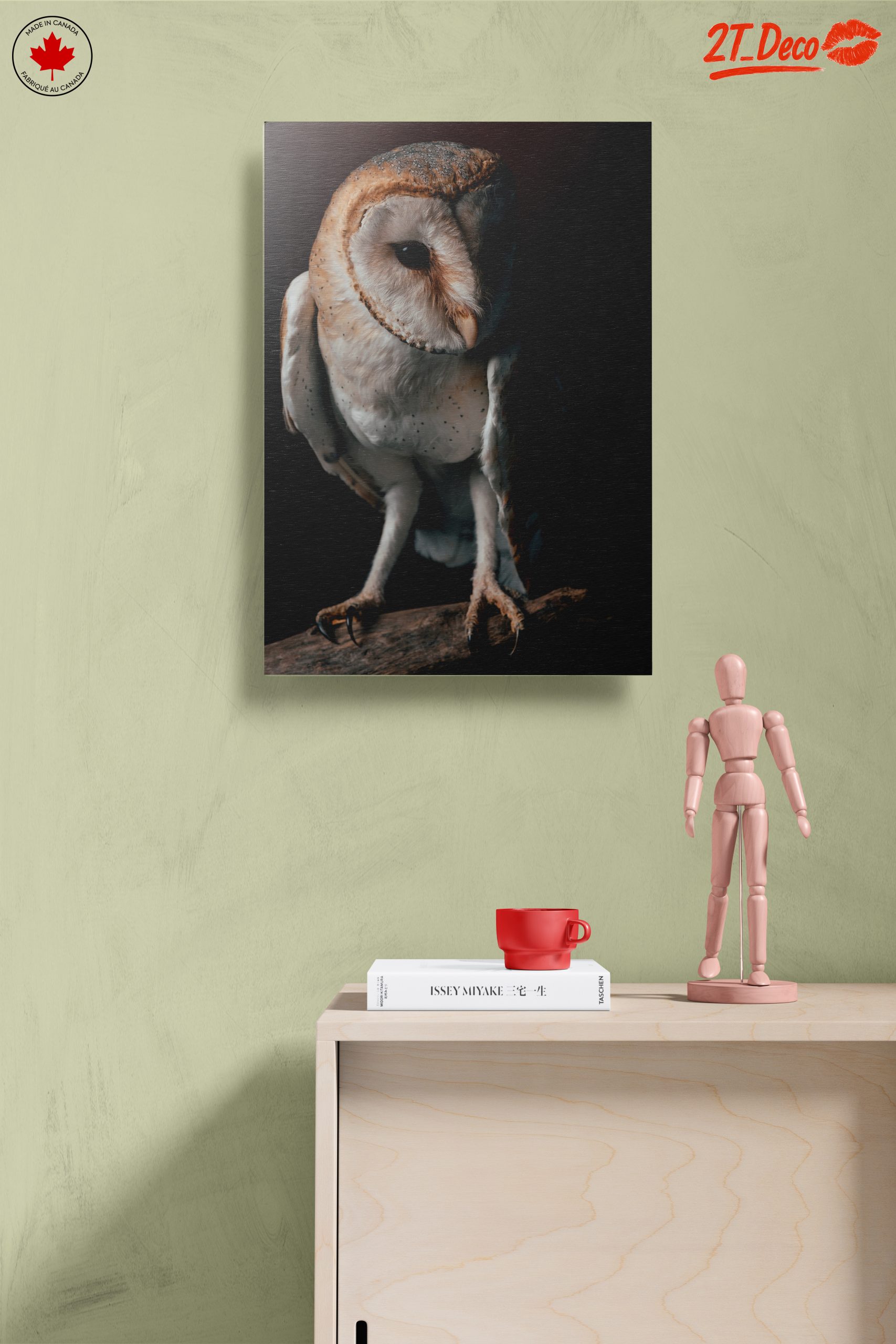 Stunning Barn Owl Wall Art - Image 14