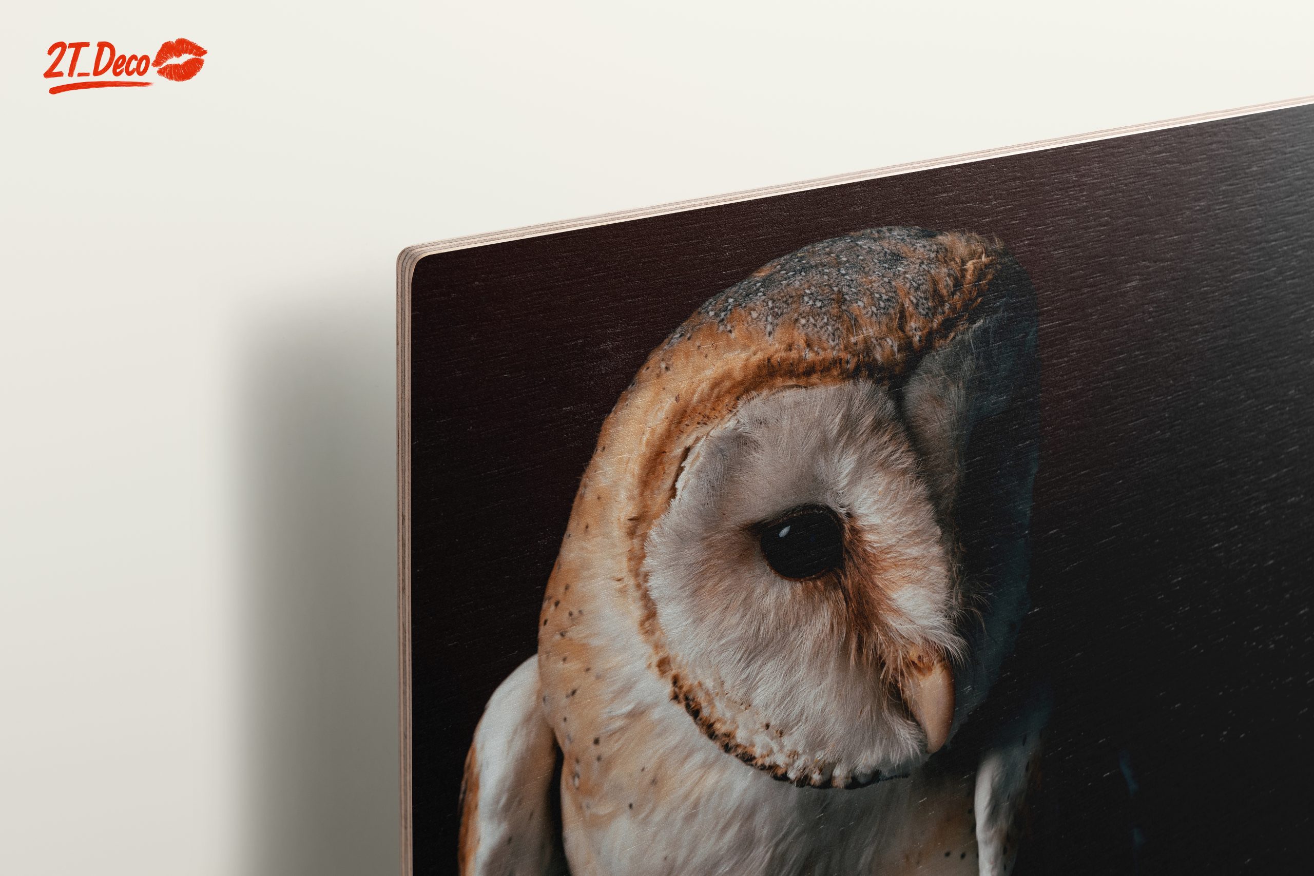 Stunning Barn Owl Wall Art - Image 15