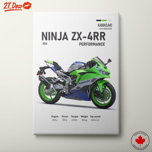 Kawasaki Ninja ZX-4RR 2024 Motorcycle Art