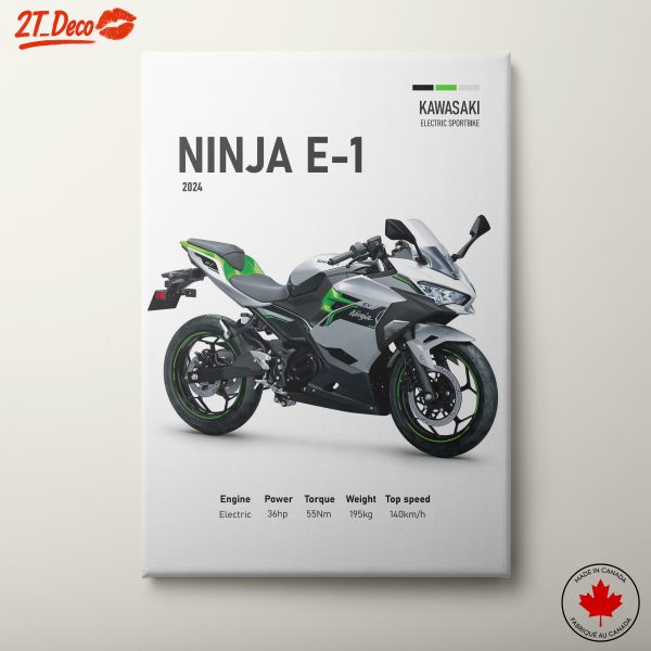 Kawasaki Ninja E-1 Electric Motorcycle Art