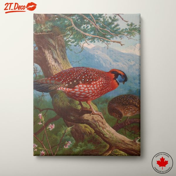 Vibrant Bird Artwork in Natural Setting