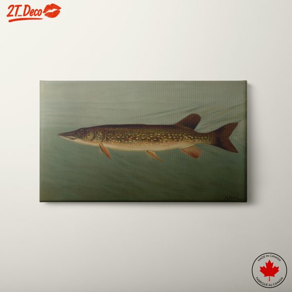 Detailed Aquatic Animal Artwork