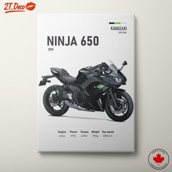 Kawasaki Ninja 650 Sportbike 2025 Art