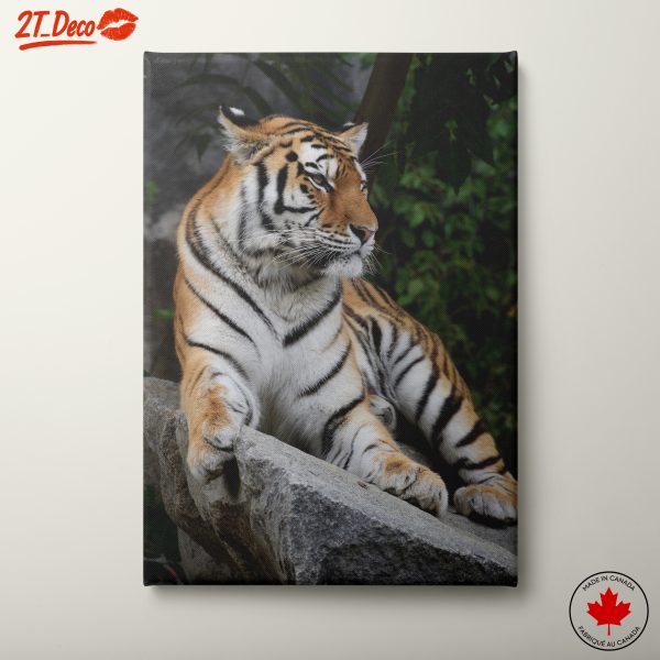 Majestic Tiger Wall Art 7