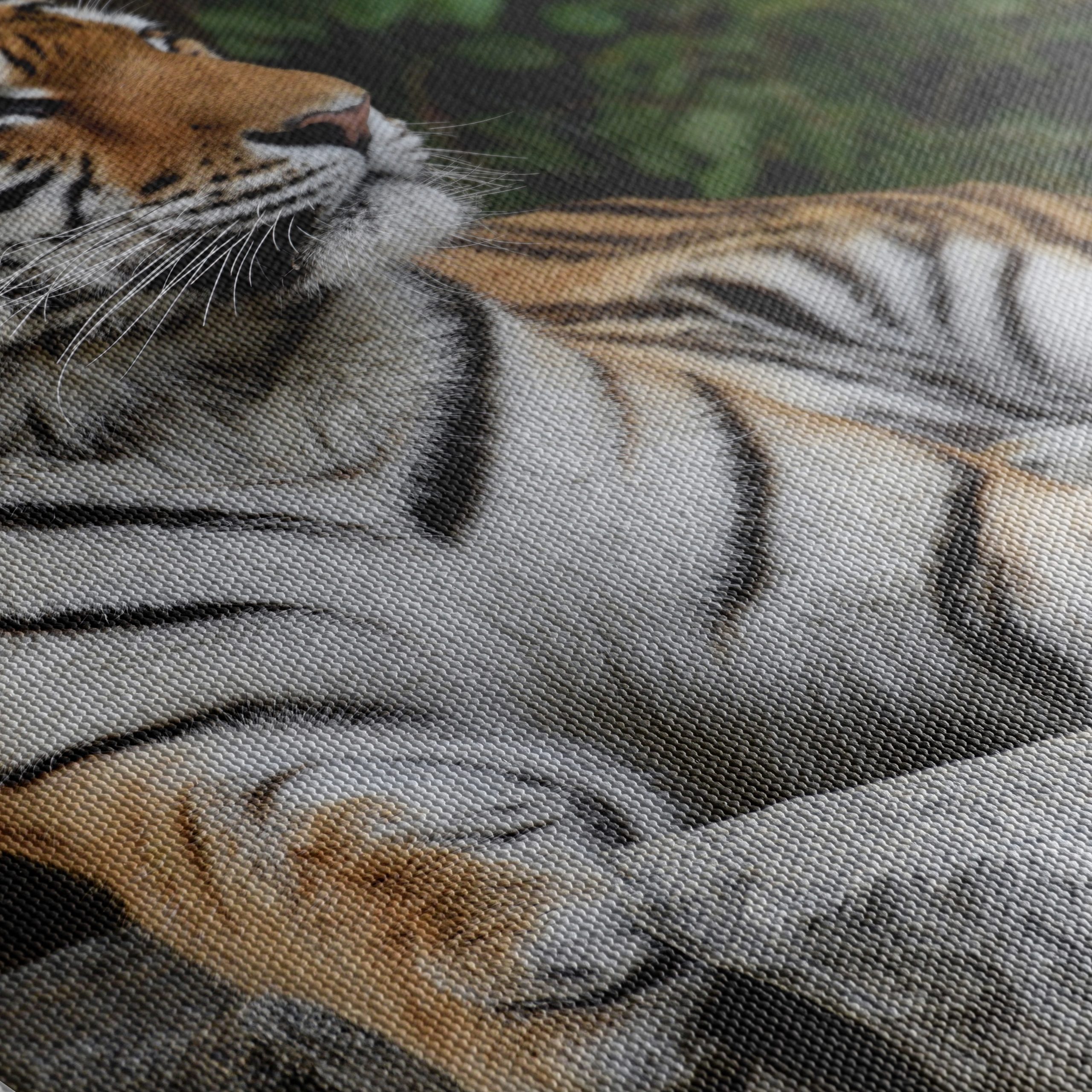 Majestic Tiger Wall Art 7 - Image 5