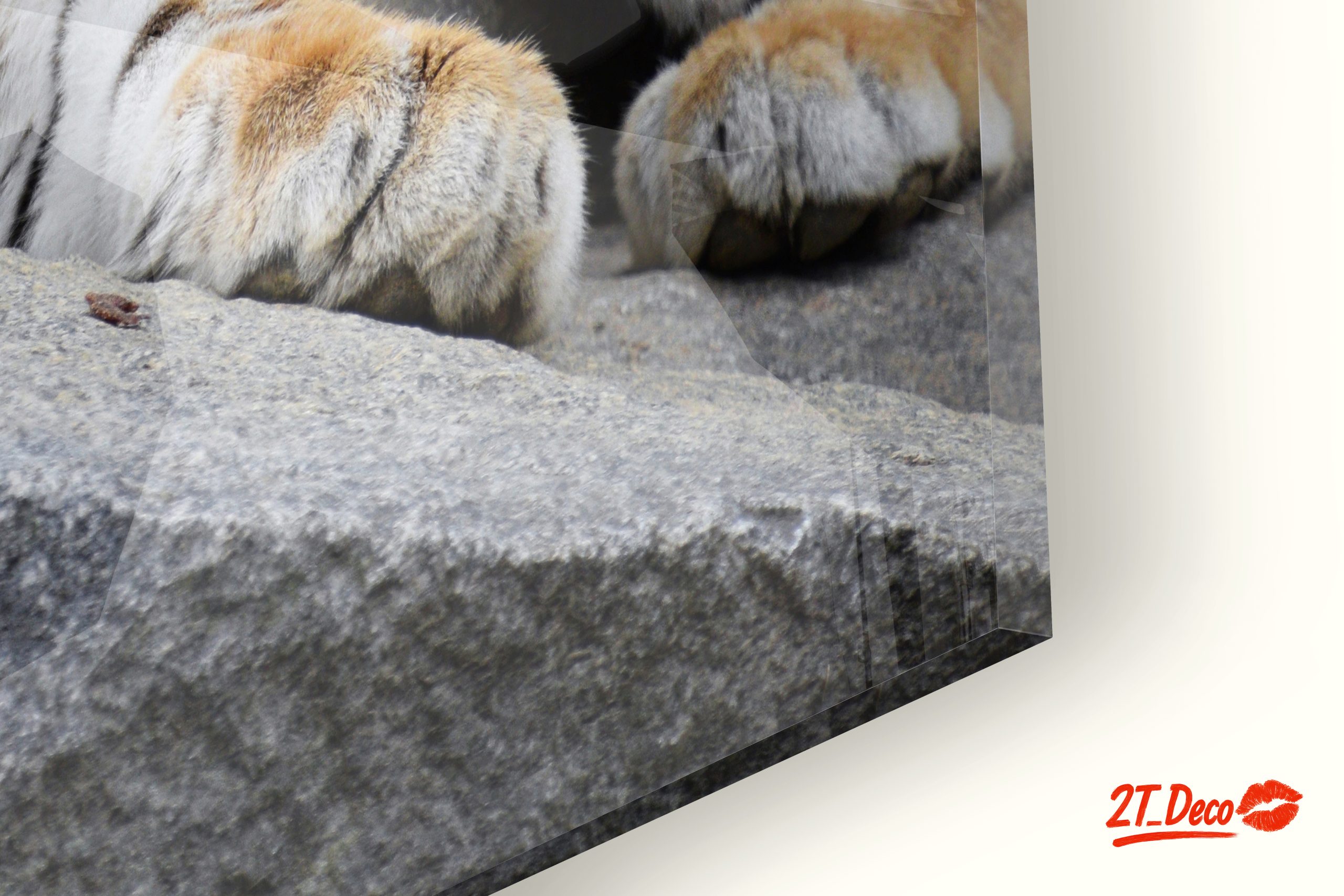 Majestic Tiger Wall Art 7 - Image 9
