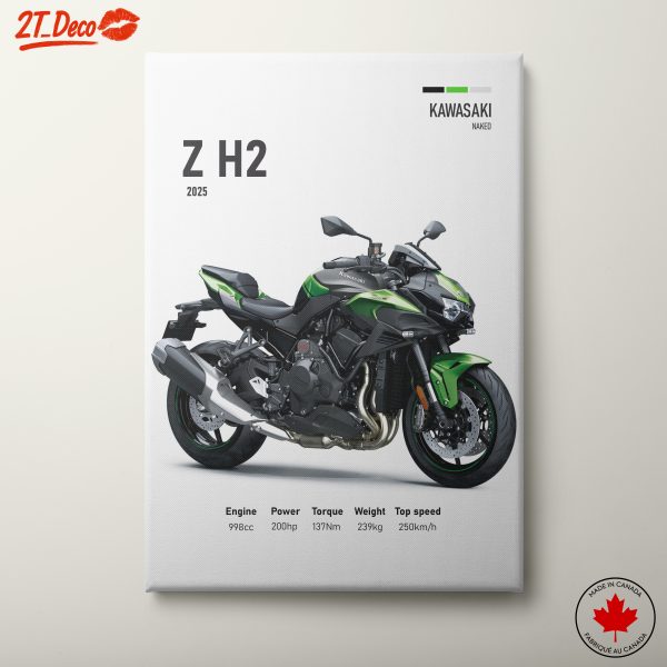 2025 Kawasaki Z H2 Motorcycle Artwork