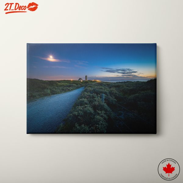Serene Coastal Landscape Under Moonlight