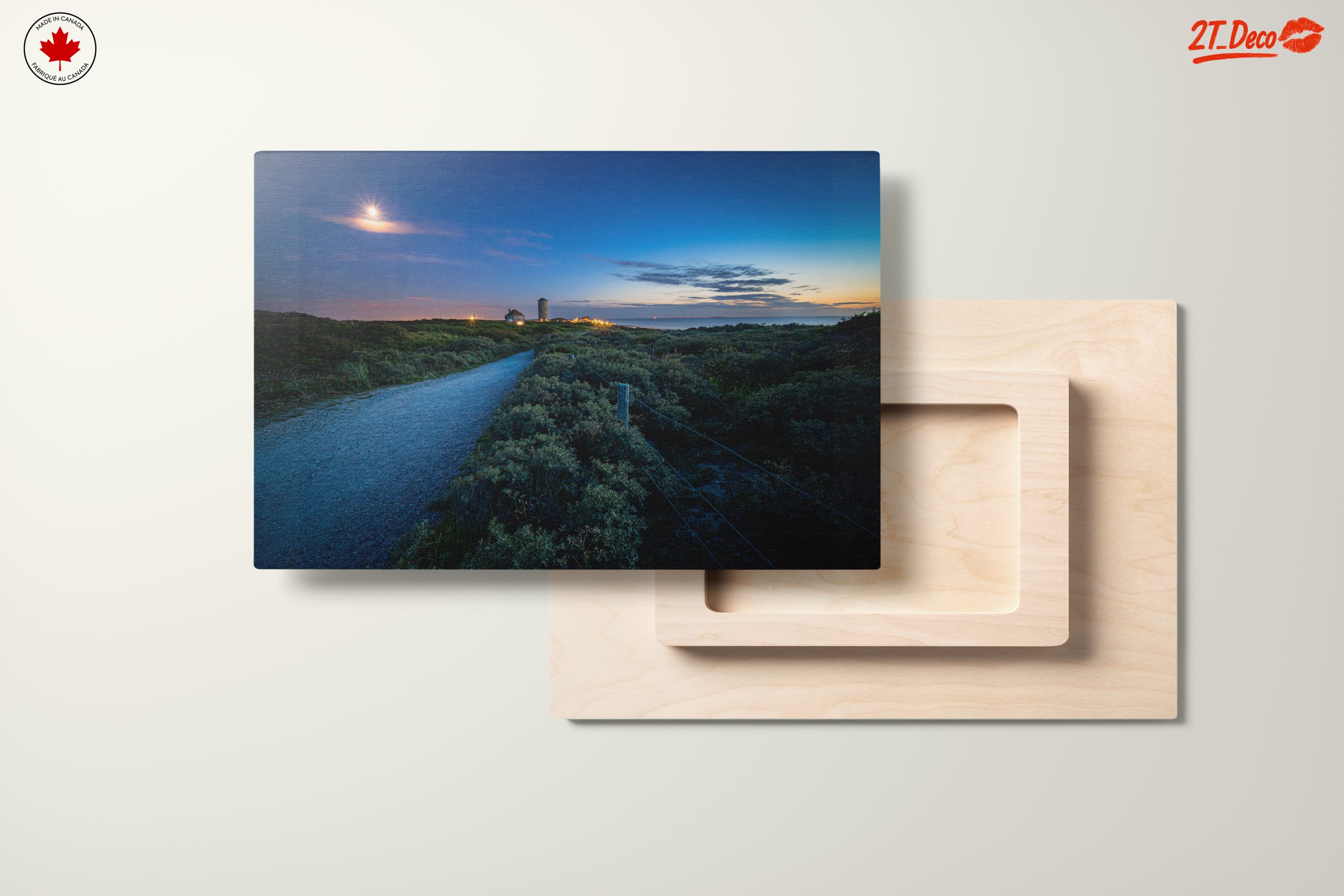 Serene Coastal Landscape Under Moonlight - Image 11