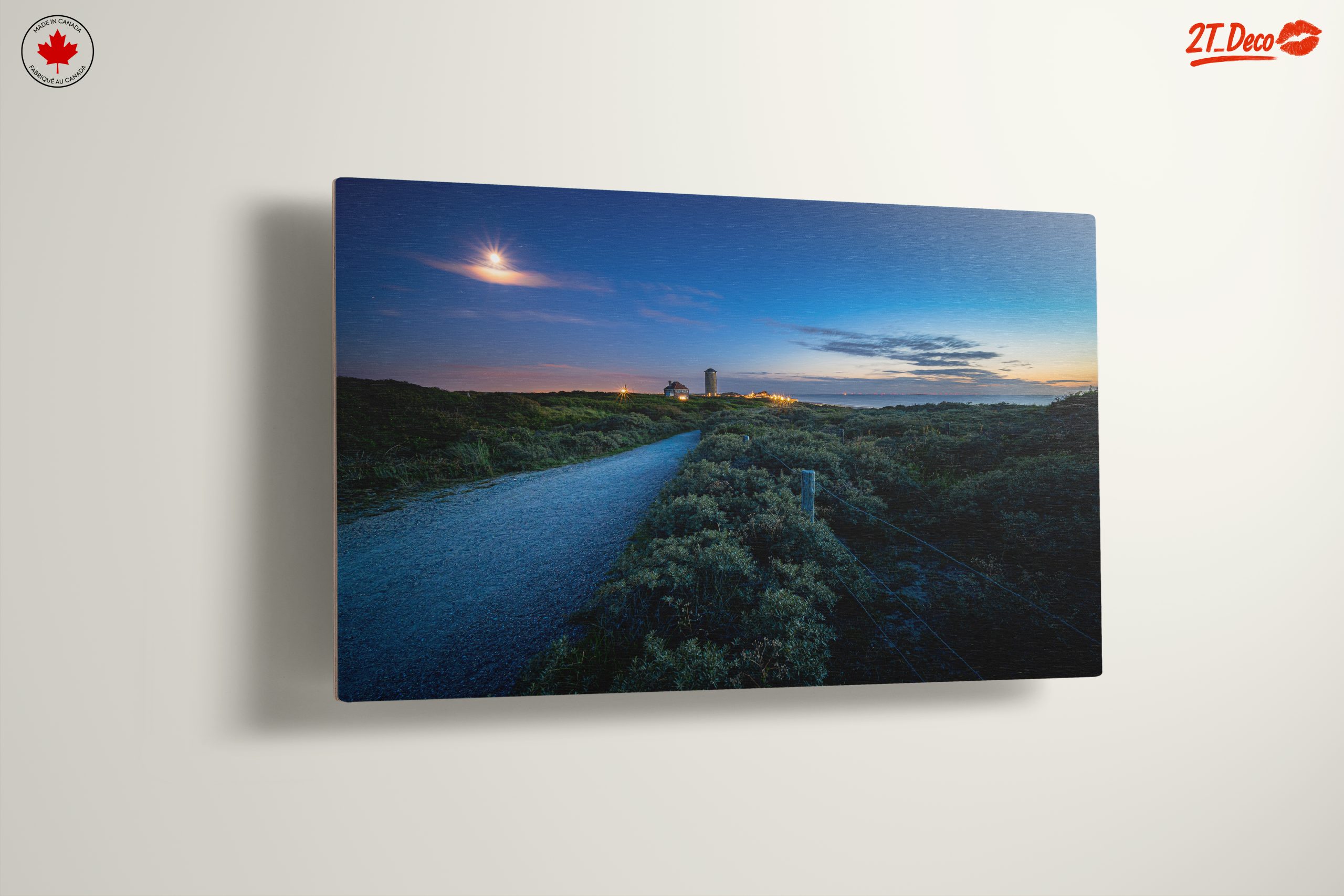 Serene Coastal Landscape Under Moonlight - Image 13