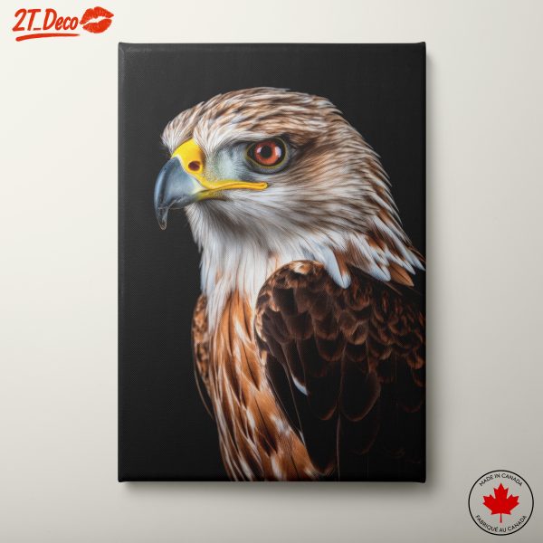 Stunning Artistic Hawk Portrait