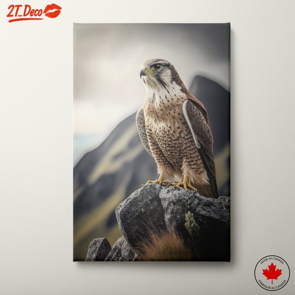 Majestic Eagle On Rocky Perch