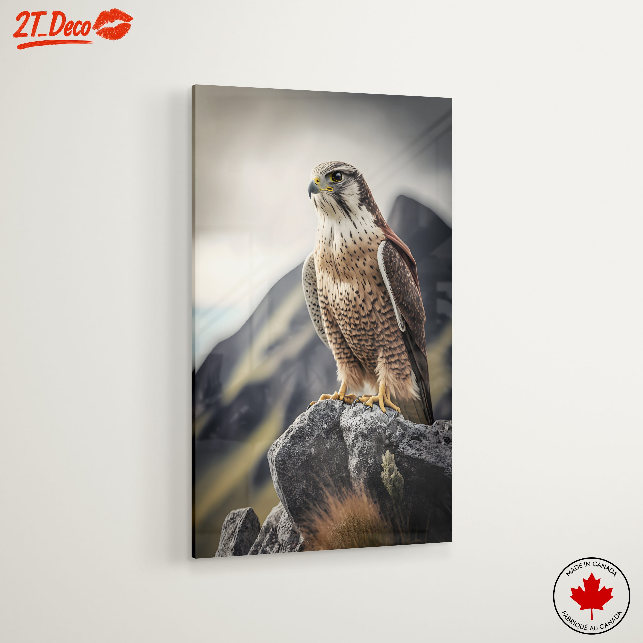 Majestic Eagle On Rocky Perch - Image 6