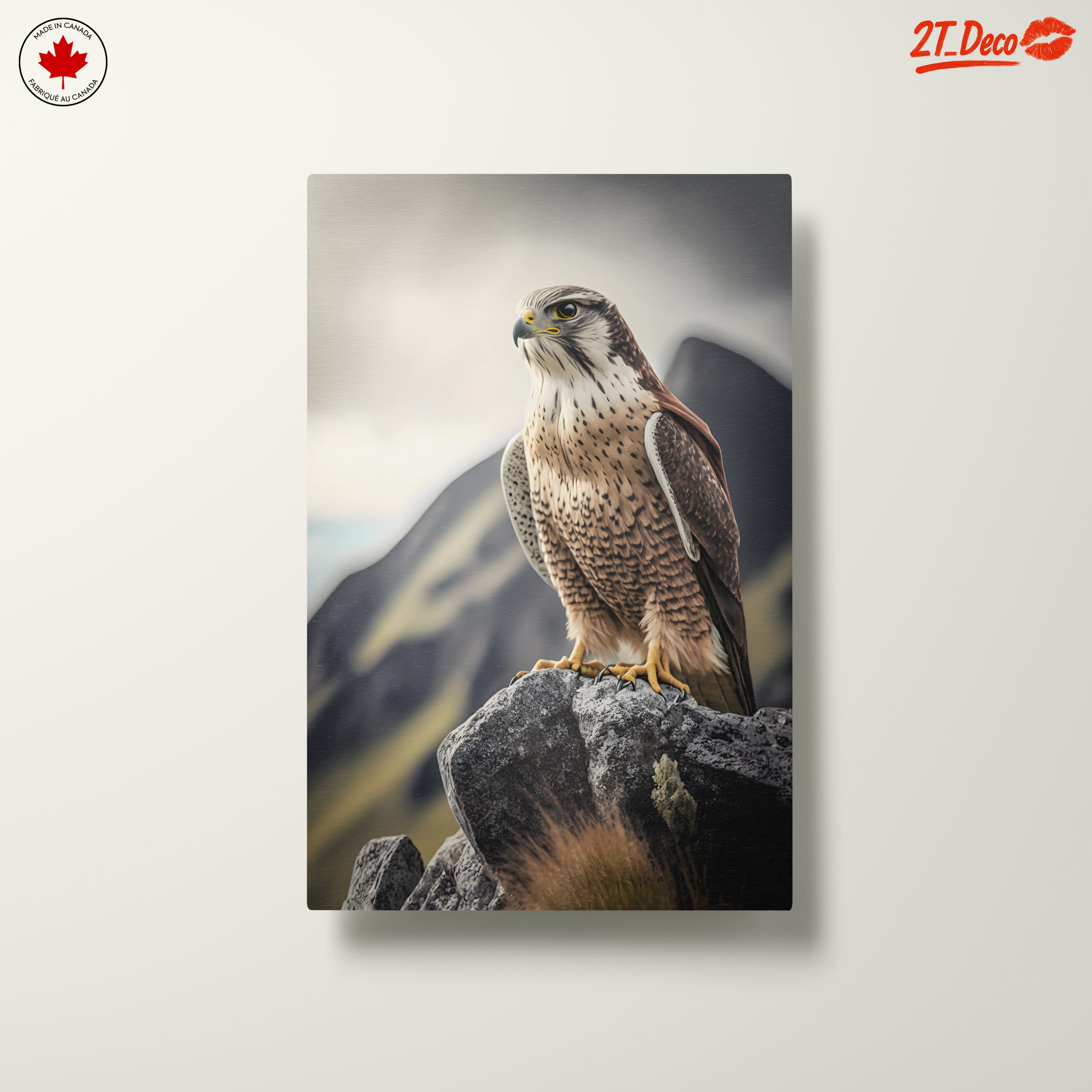 Majestic Eagle On Rocky Perch - Image 10