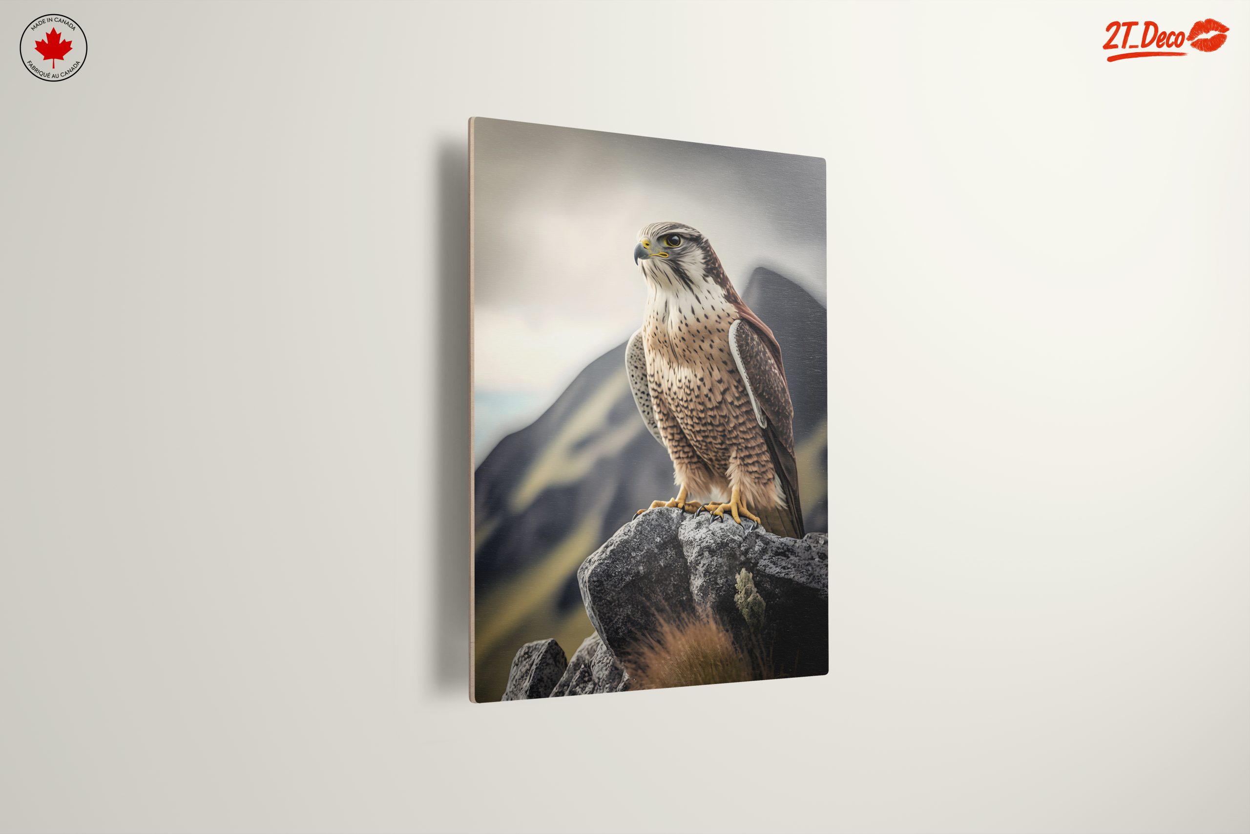 Majestic Eagle On Rocky Perch - Image 13