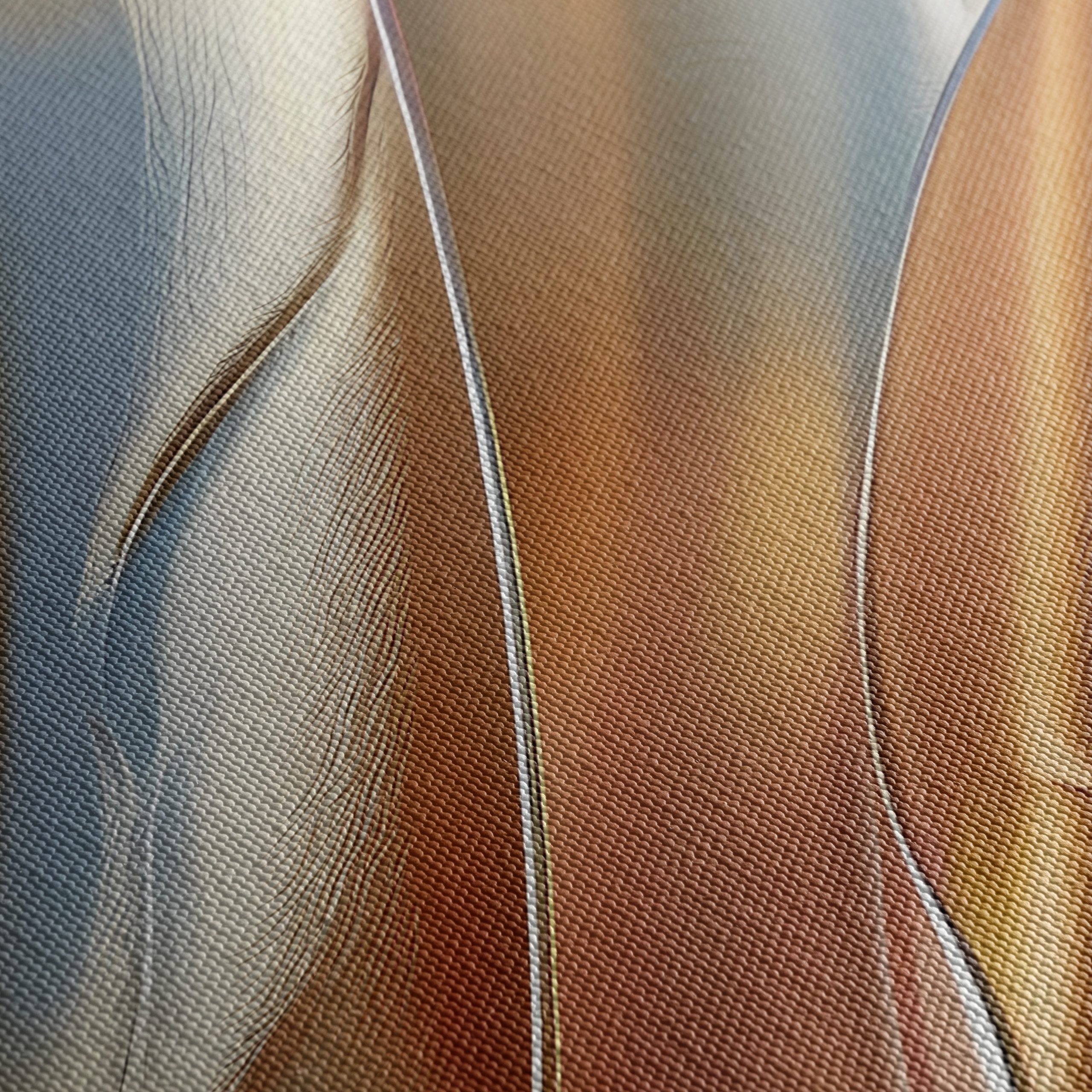 Elegant Fluid Abstract Waves - Image 5