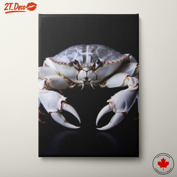 Stunning Crab Wall Art