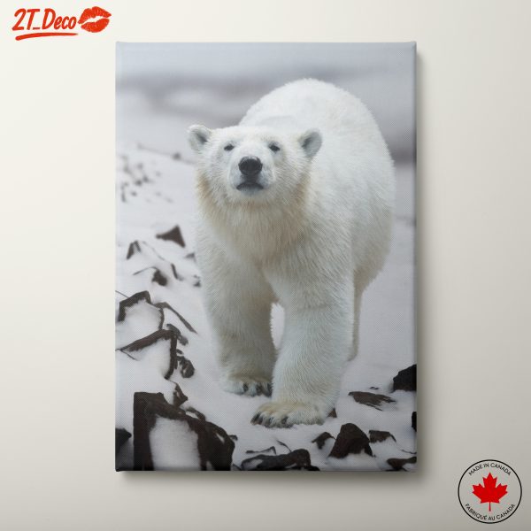 Stunning Polar Bear Wall Art
