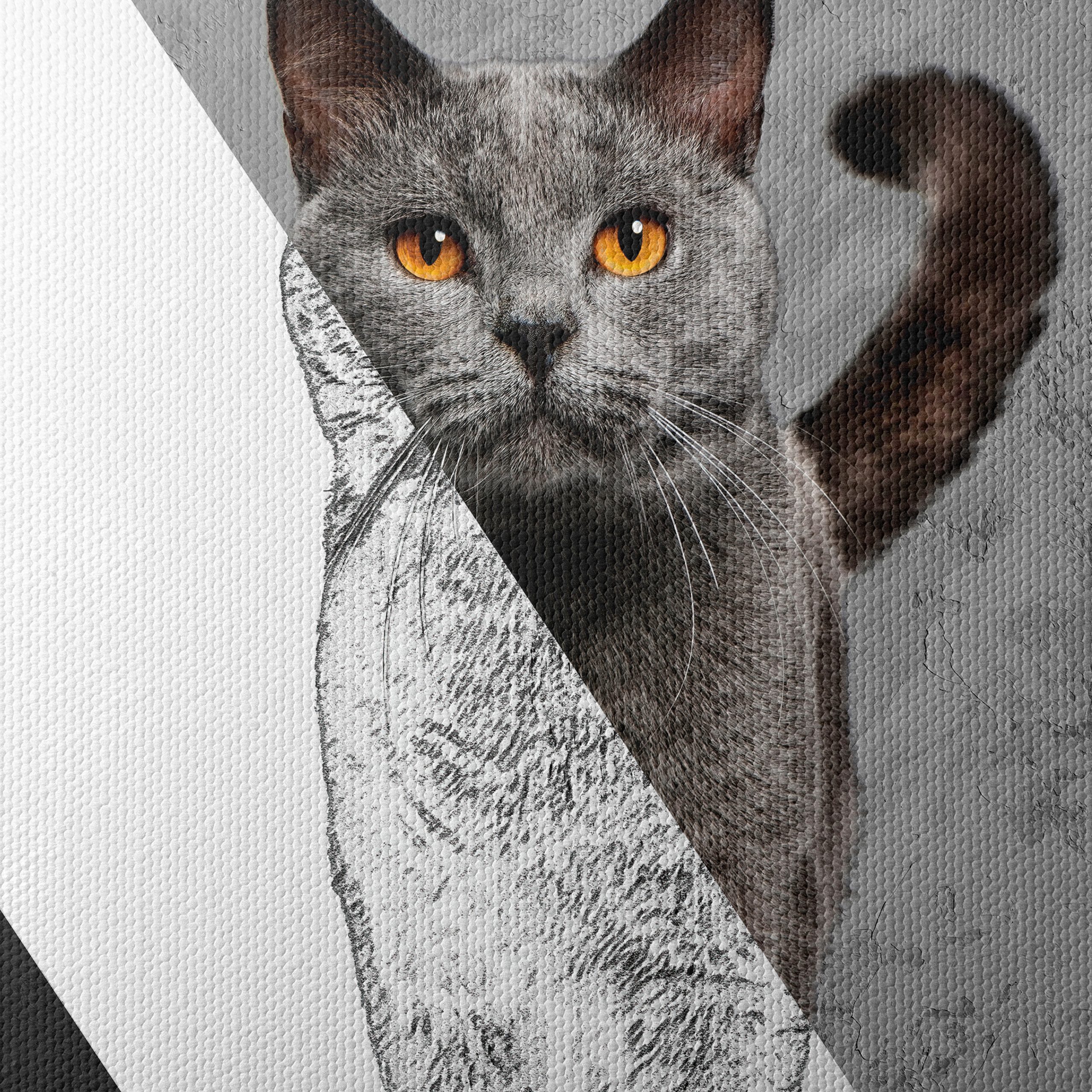 Stylized Cat Art - Image 4