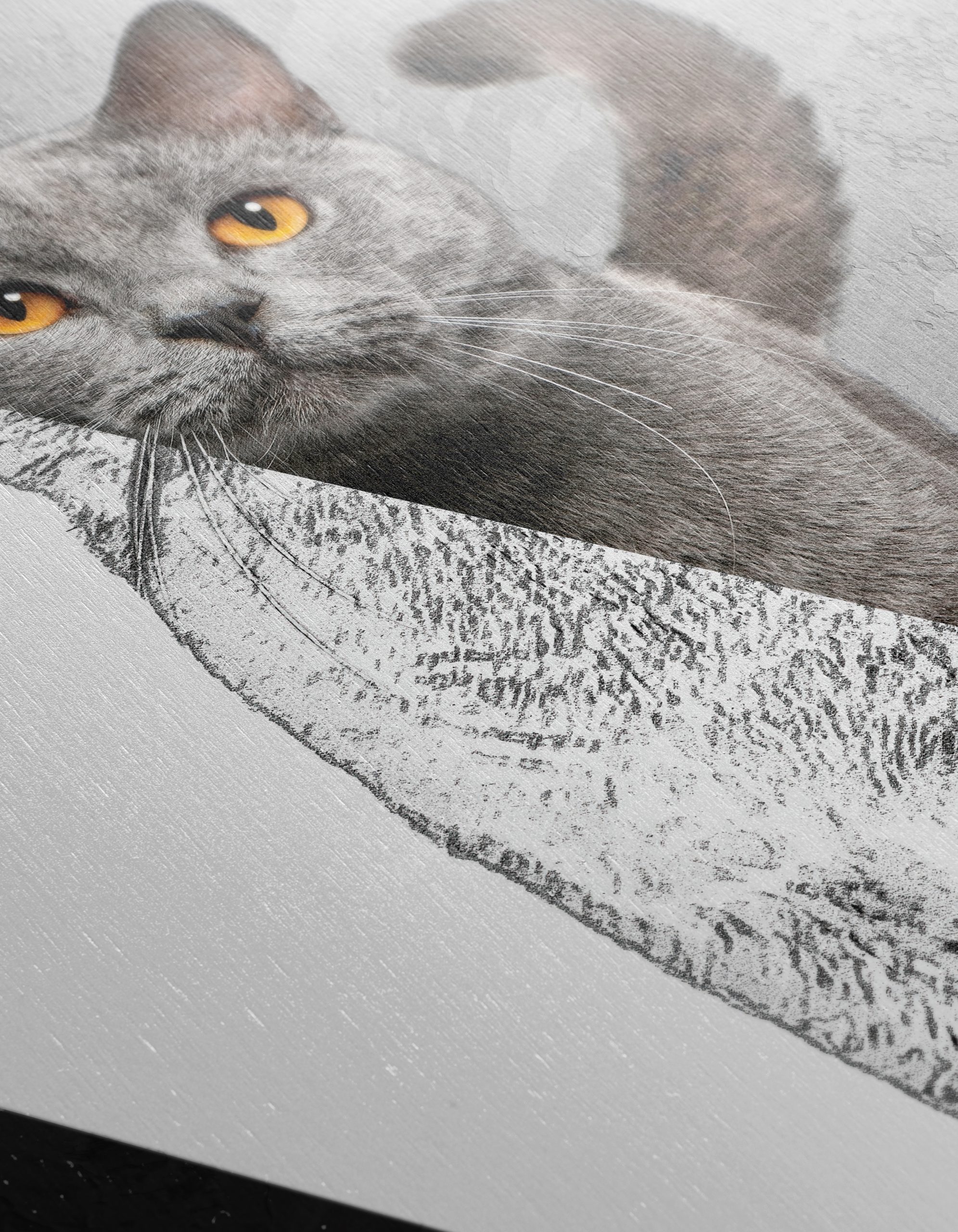 Stylized Cat Art - Image 12