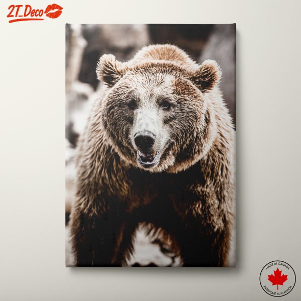 Beautiful Bear Wall Art