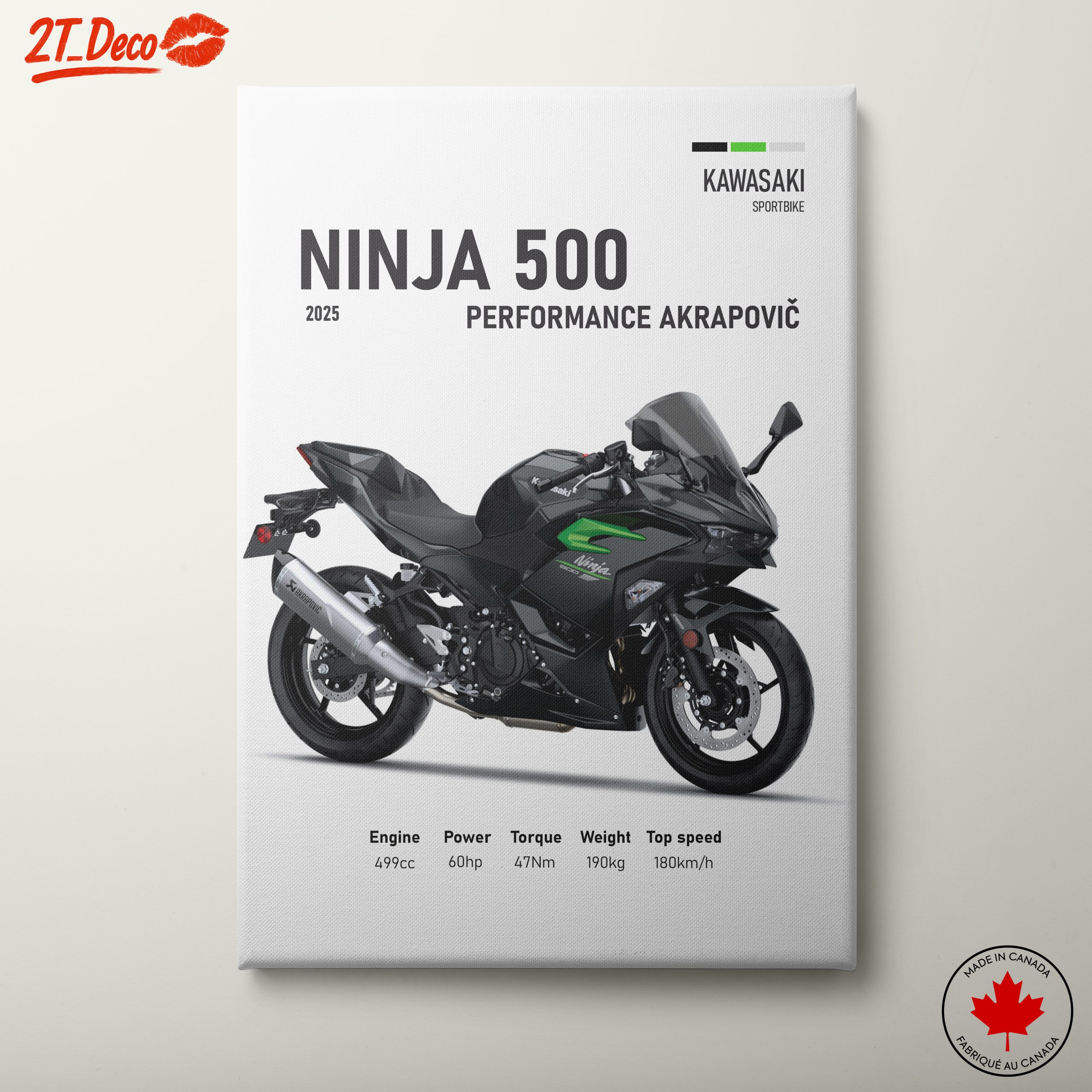 2025 Kawasaki Ninja 500 Performance Art