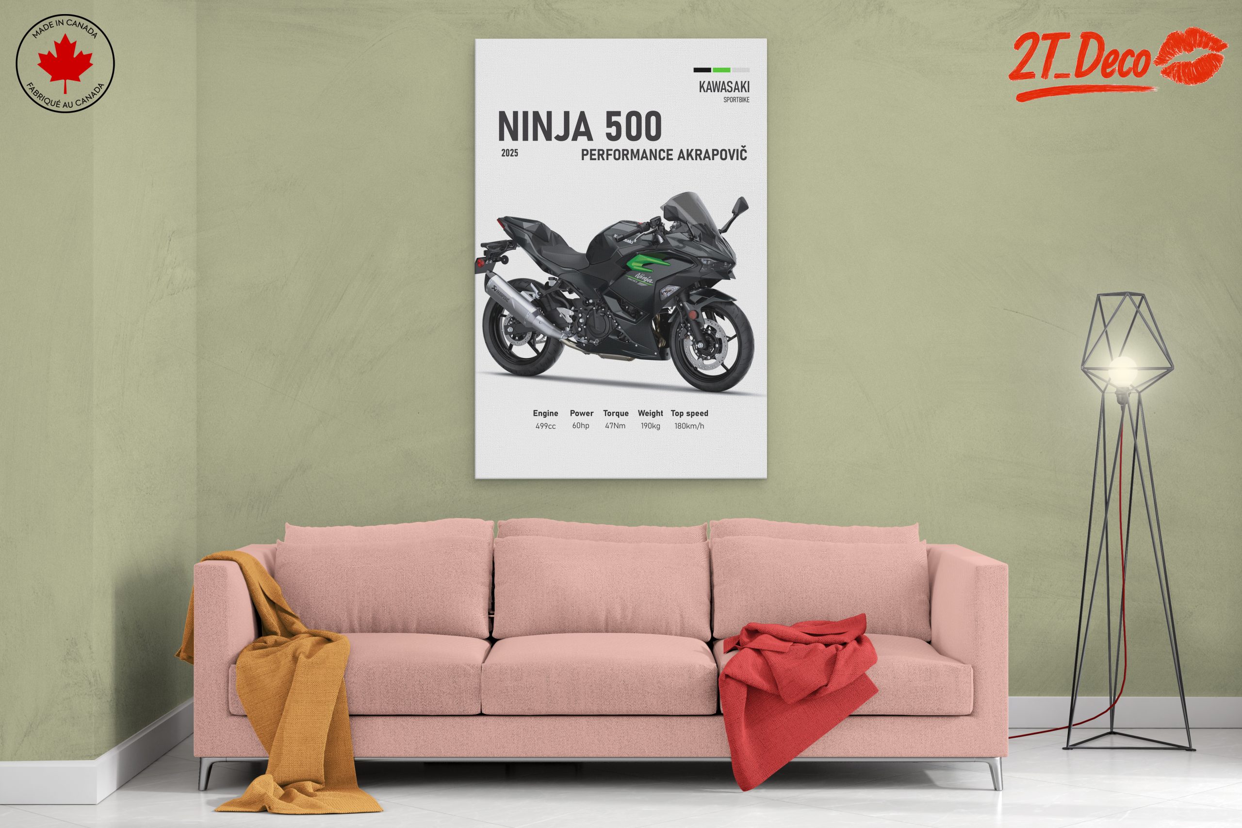 2025 Kawasaki Ninja 500 Performance Art - Image 2