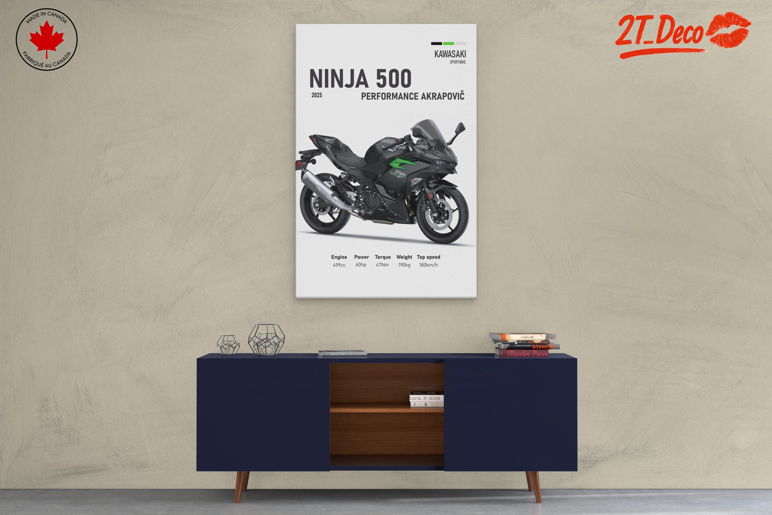 2025 Kawasaki Ninja 500 Performance Art - Image 3