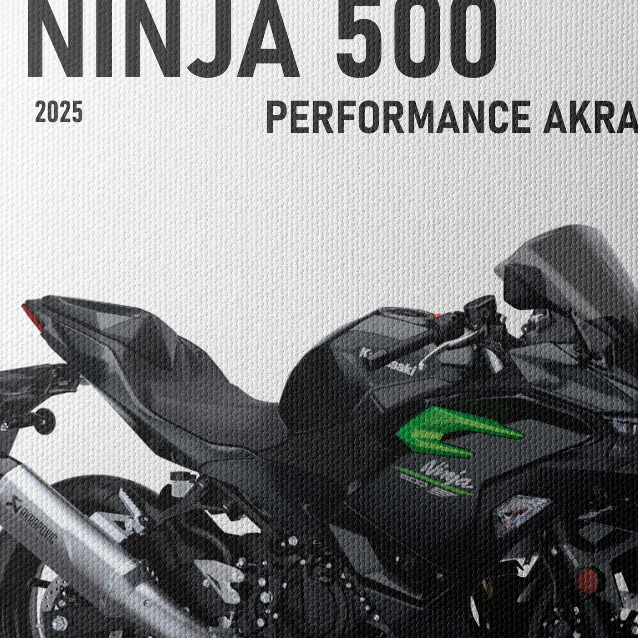 2025 Kawasaki Ninja 500 Performance Art - Image 4