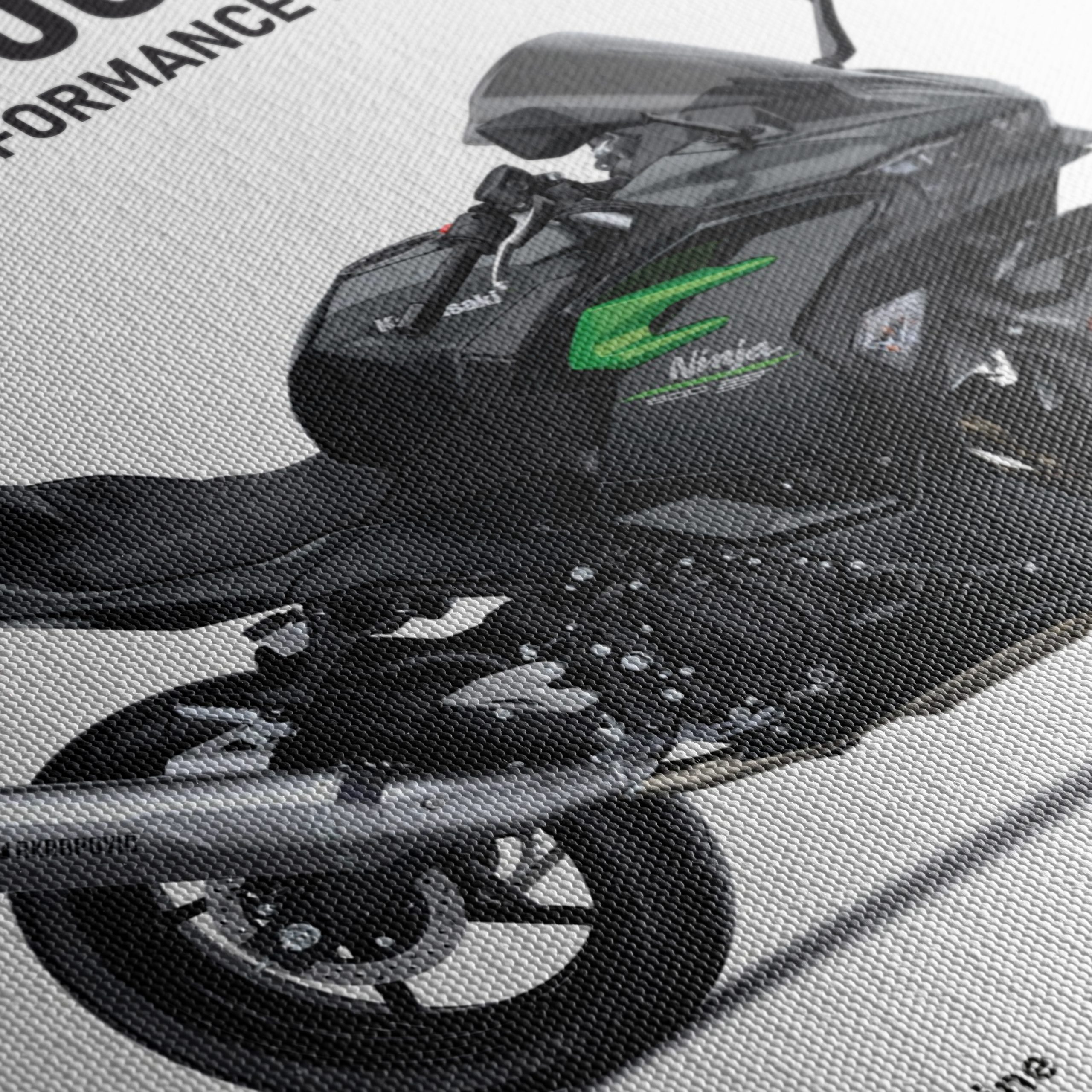 2025 Kawasaki Ninja 500 Performance Art - Image 5