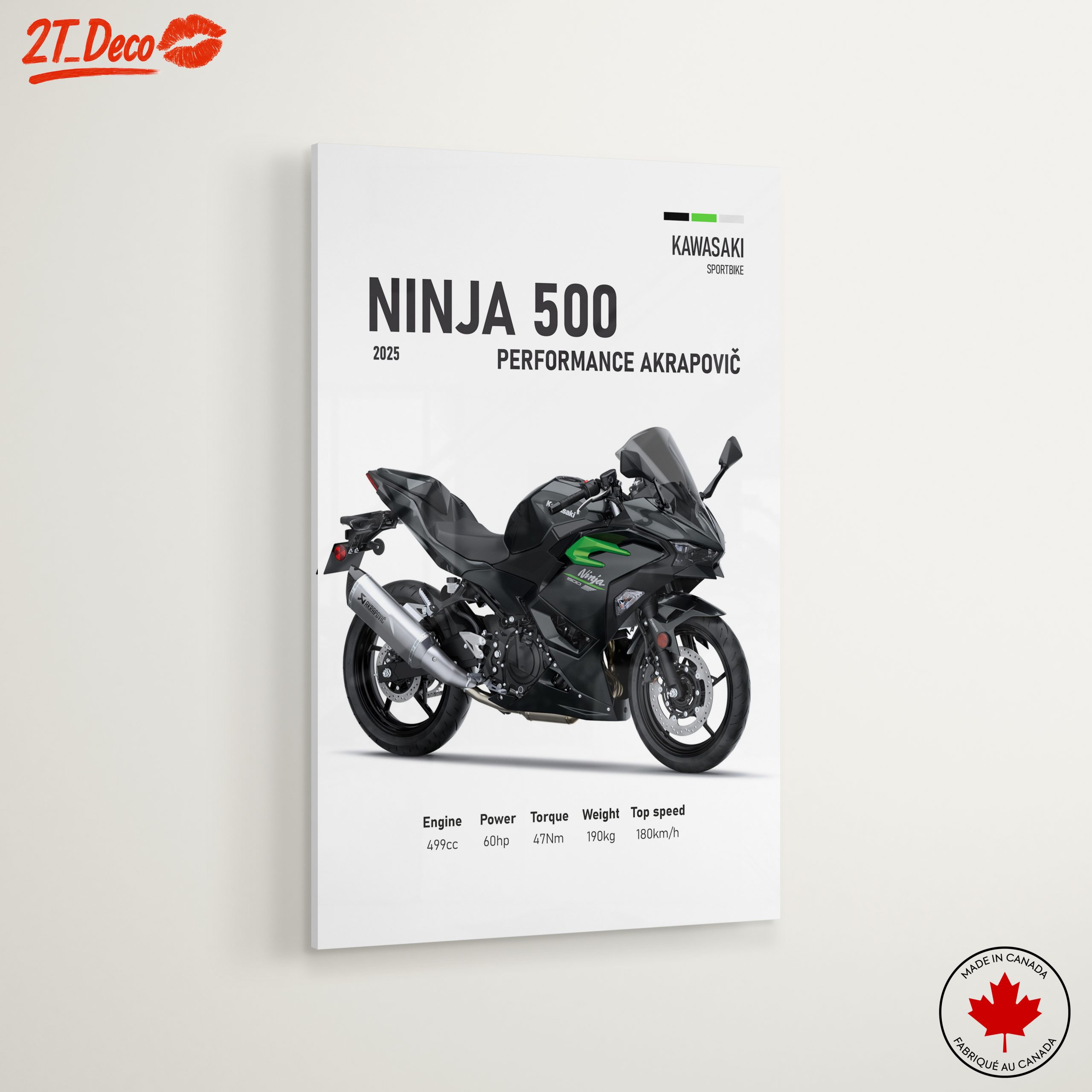 2025 Kawasaki Ninja 500 Performance Art - Image 6