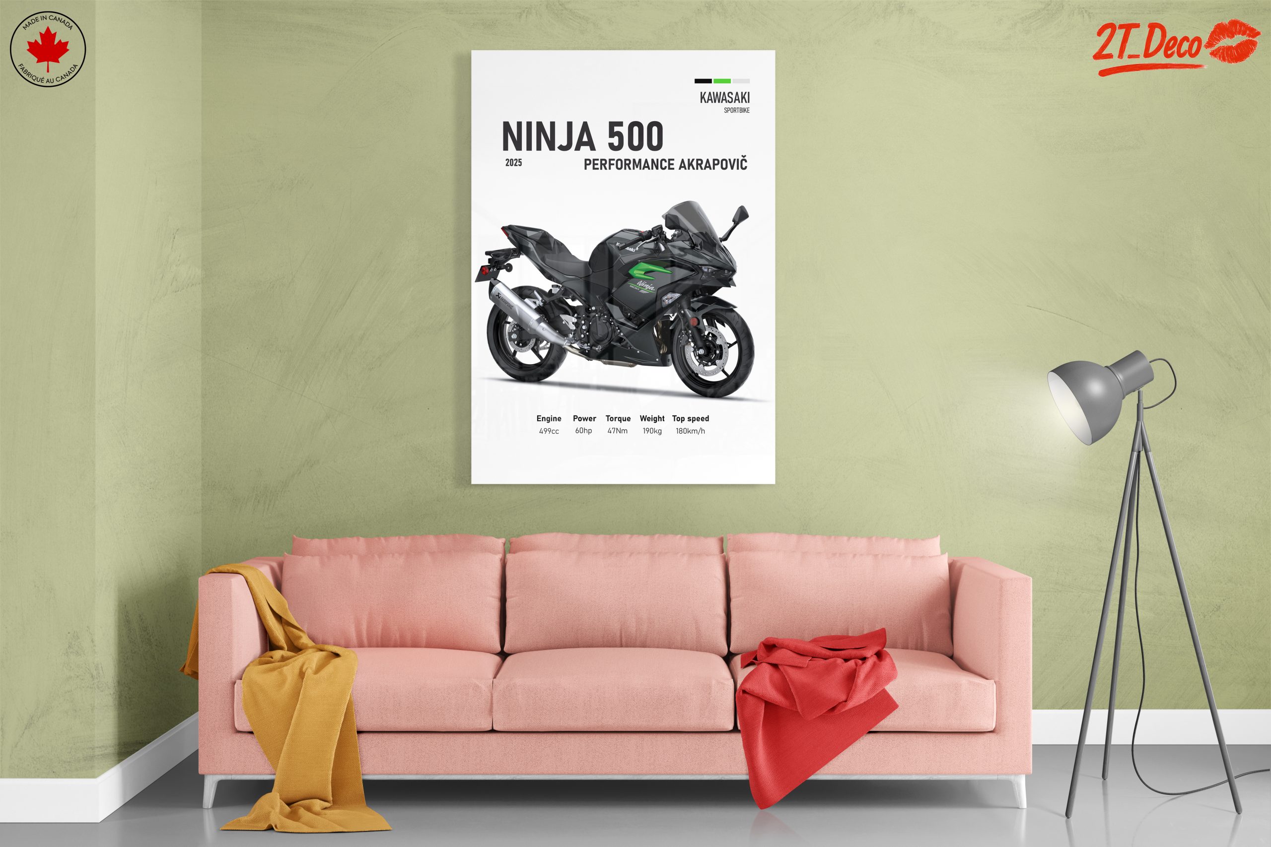 2025 Kawasaki Ninja 500 Performance Art - Image 7