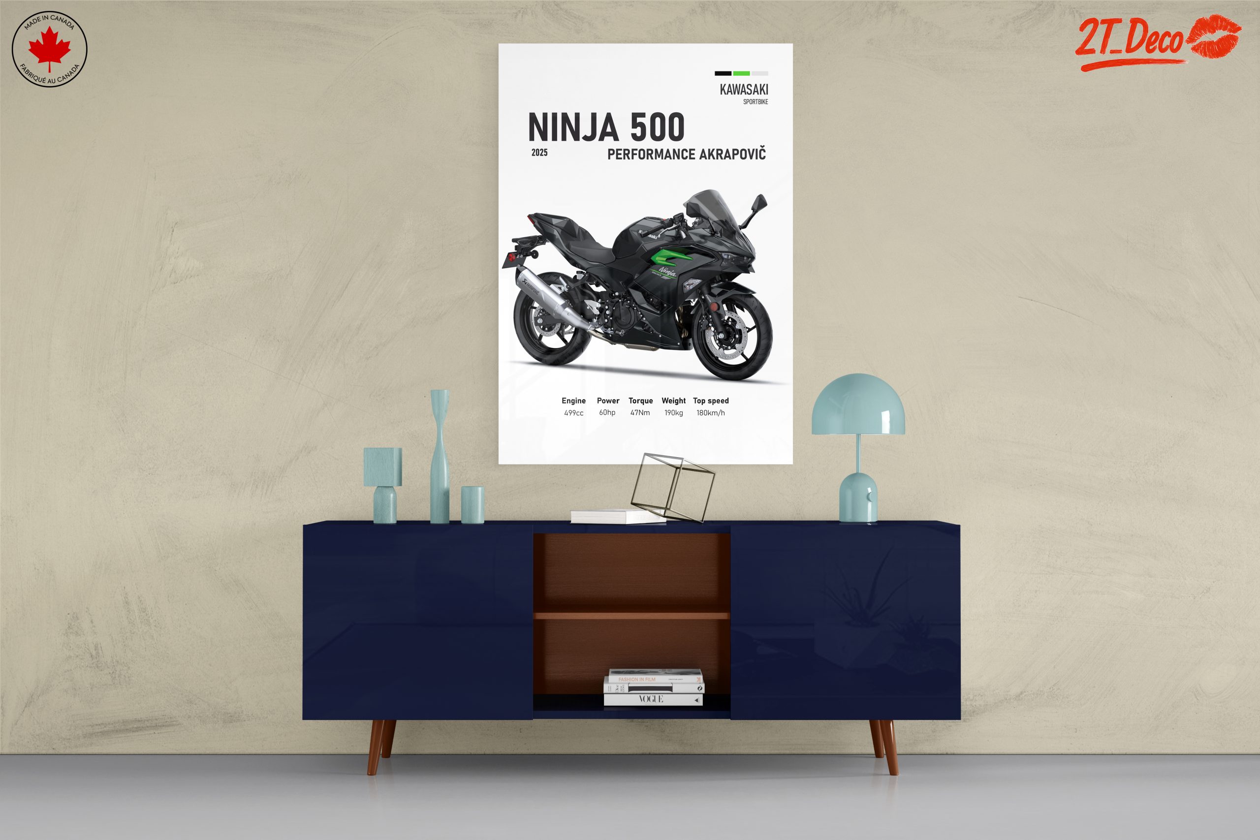 2025 Kawasaki Ninja 500 Performance Art - Image 8