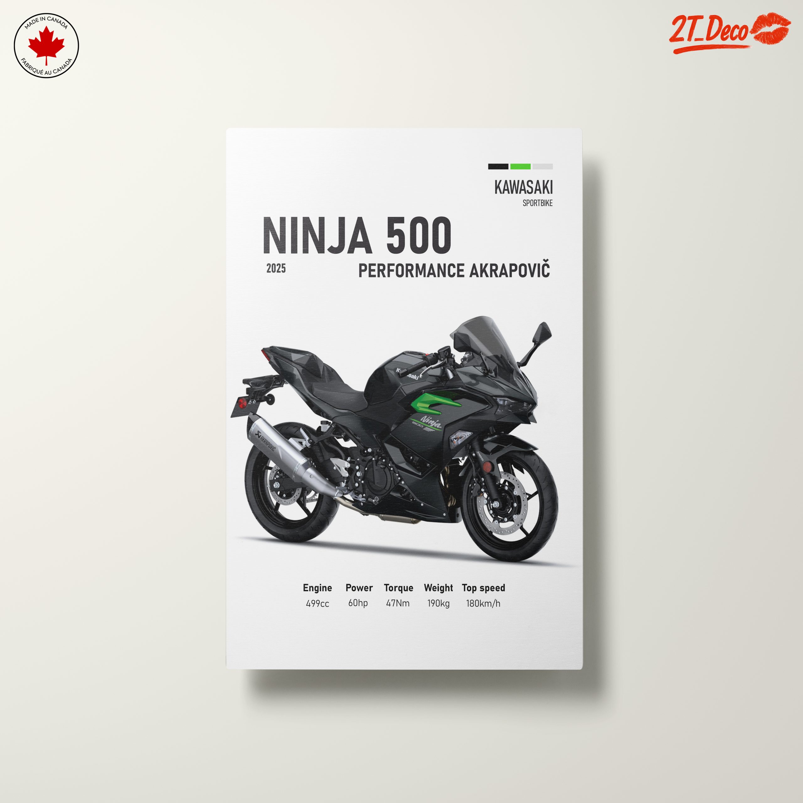 2025 Kawasaki Ninja 500 Performance Art - Image 10