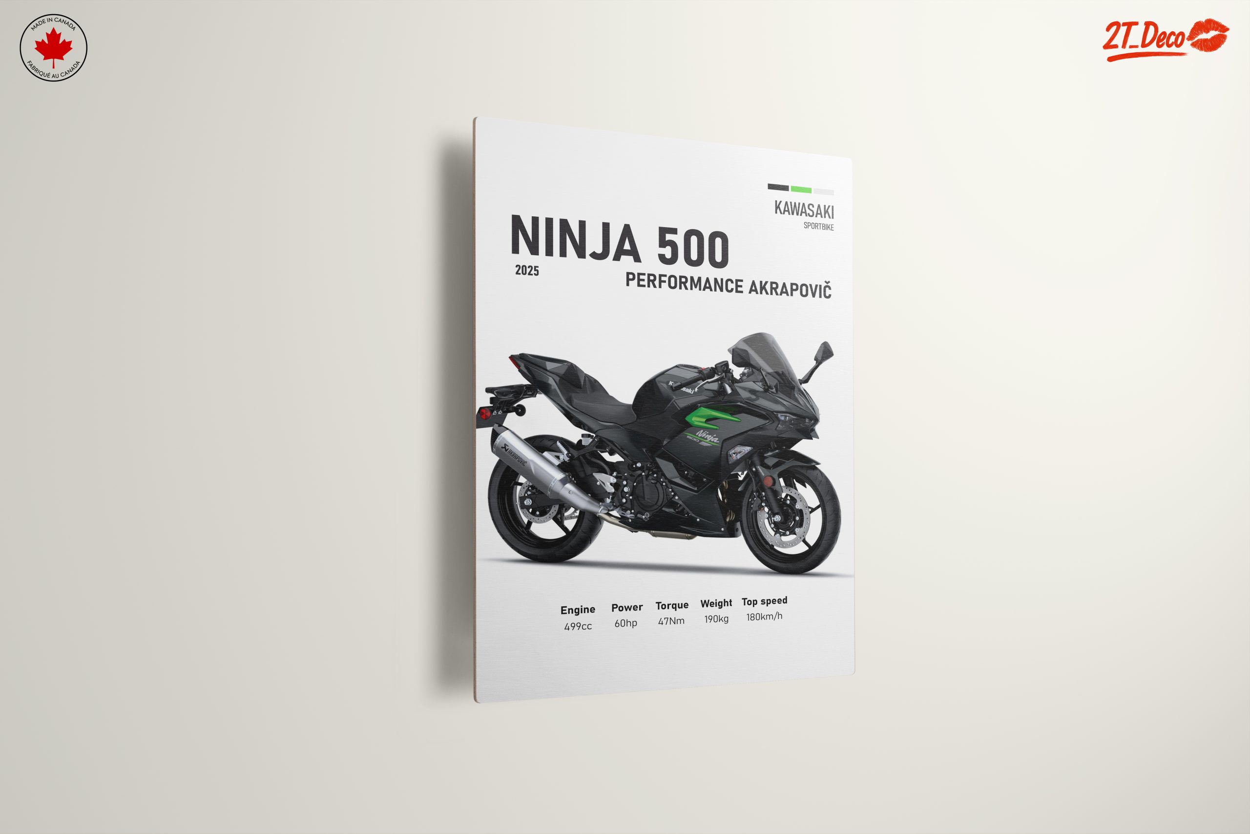 2025 Kawasaki Ninja 500 Performance Art - Image 13