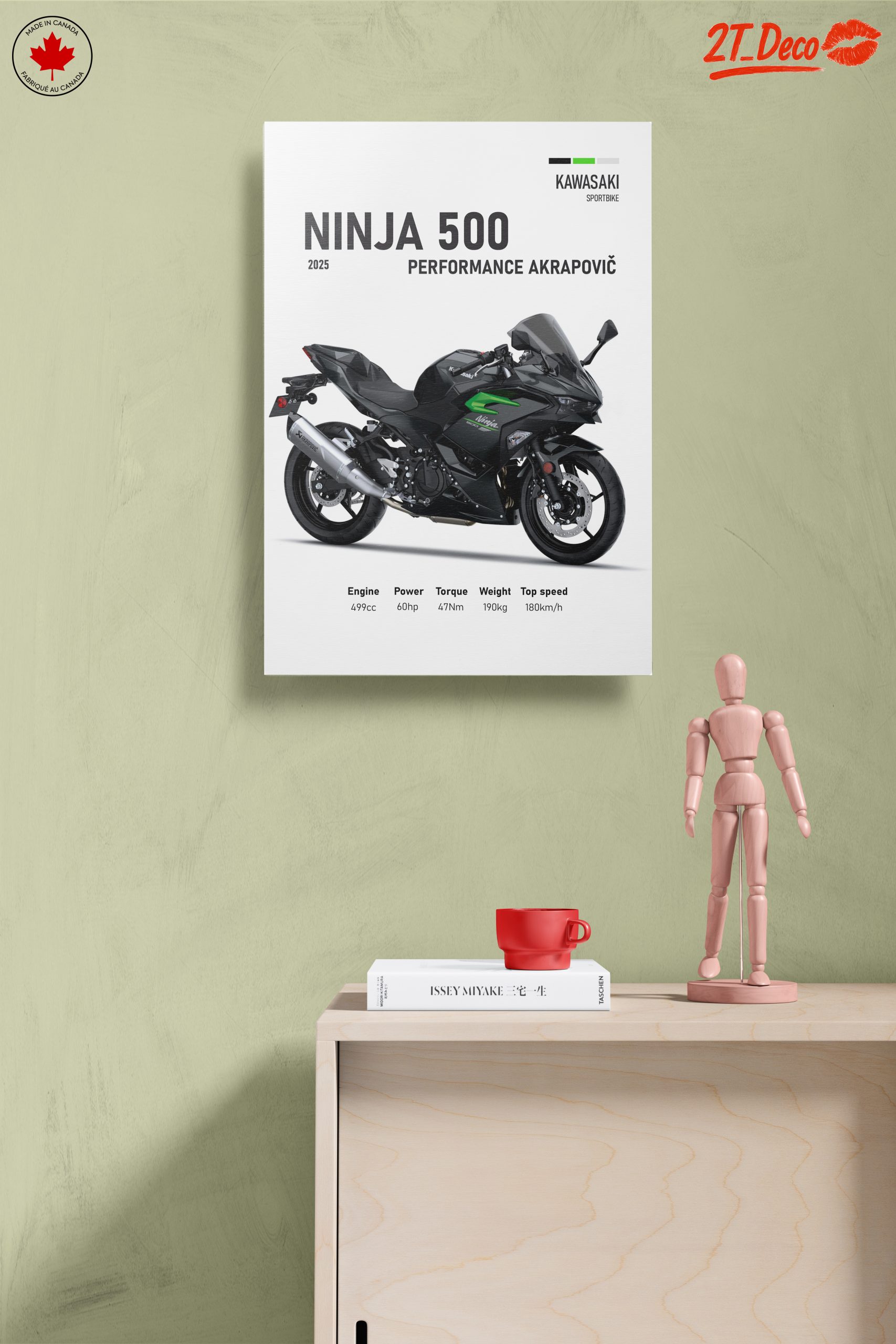 2025 Kawasaki Ninja 500 Performance Art - Image 14