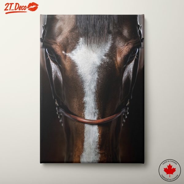 Close-Up Horse Portrait Art
