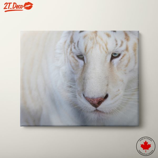 Stunning White Tiger Wall Art
