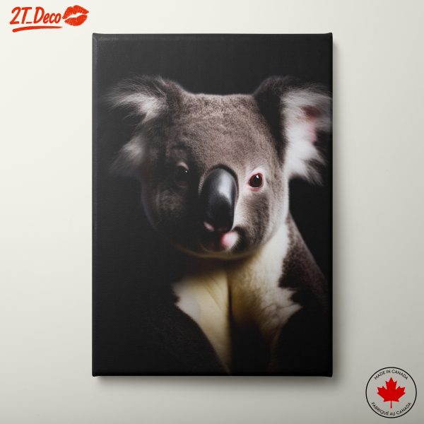 Koala Portrait in Dramatic Lighting