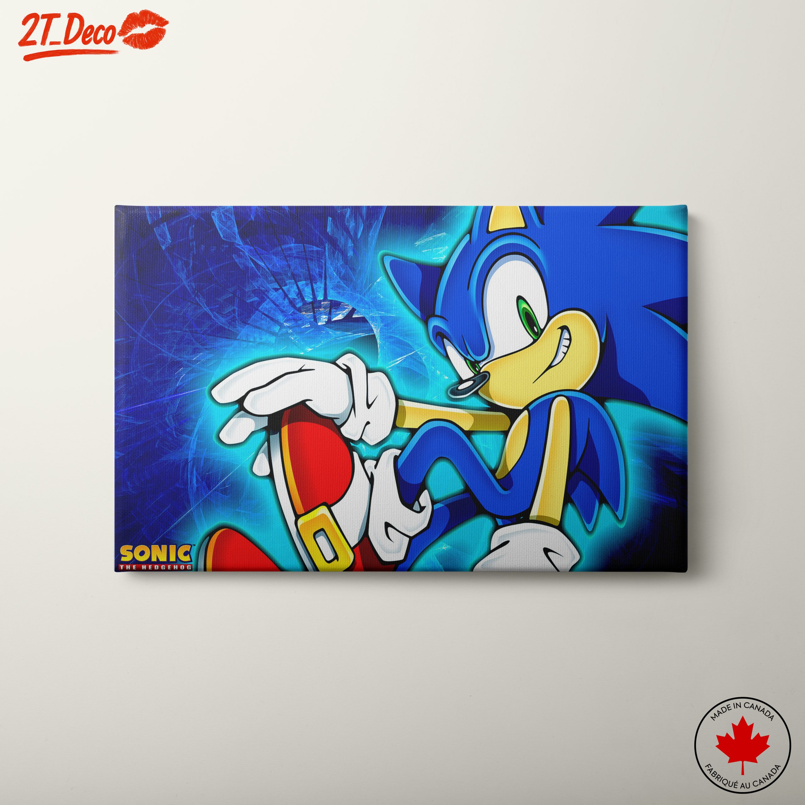 Sonic the Hedgehog Anime Art