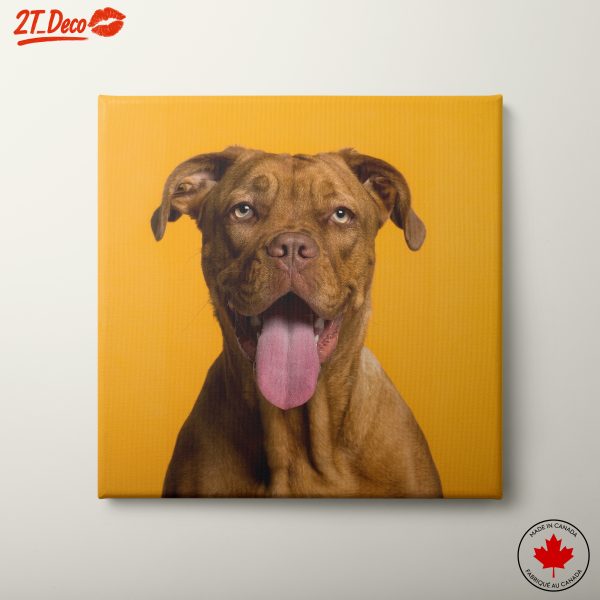 Happy Dog Portrait on Yellow Background