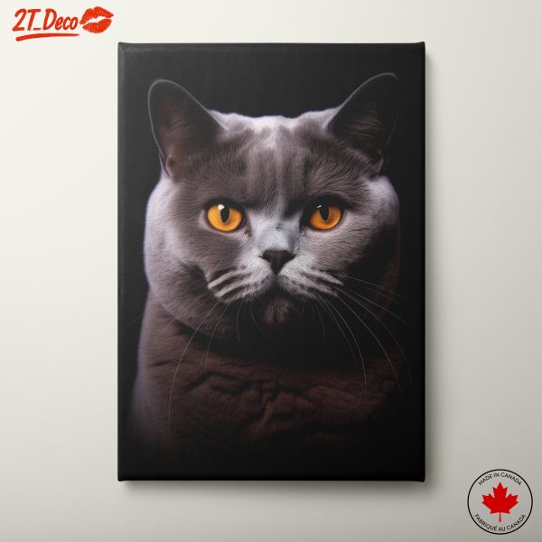 Majestic Cat Portrait with Striking Eyes