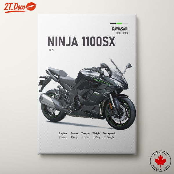 Kawasaki Ninja 1100SX Motorcycle Art