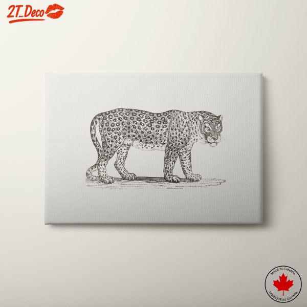 Detailed Leopard Anatomical Art