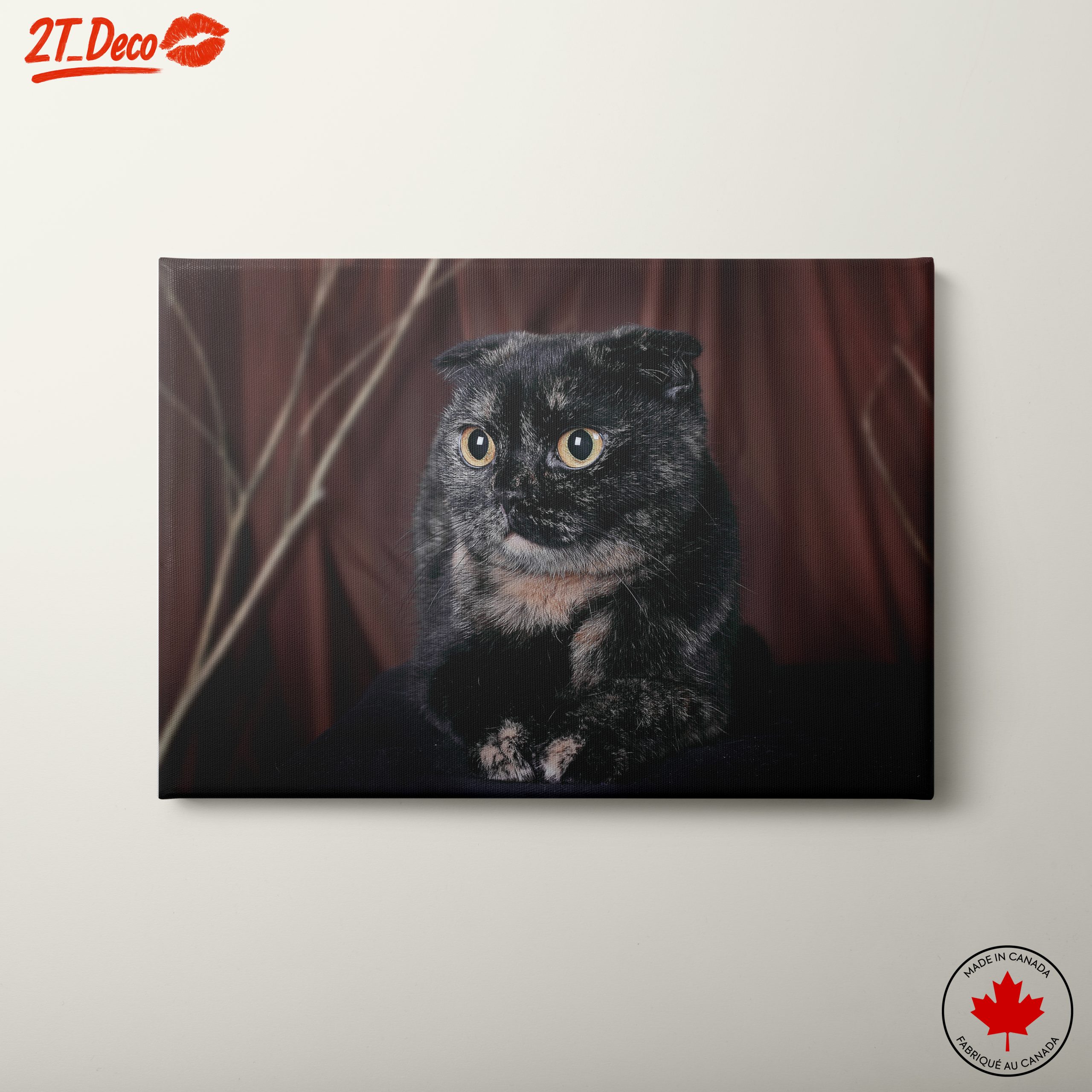 Beautiful Cat Portrait Wall Art