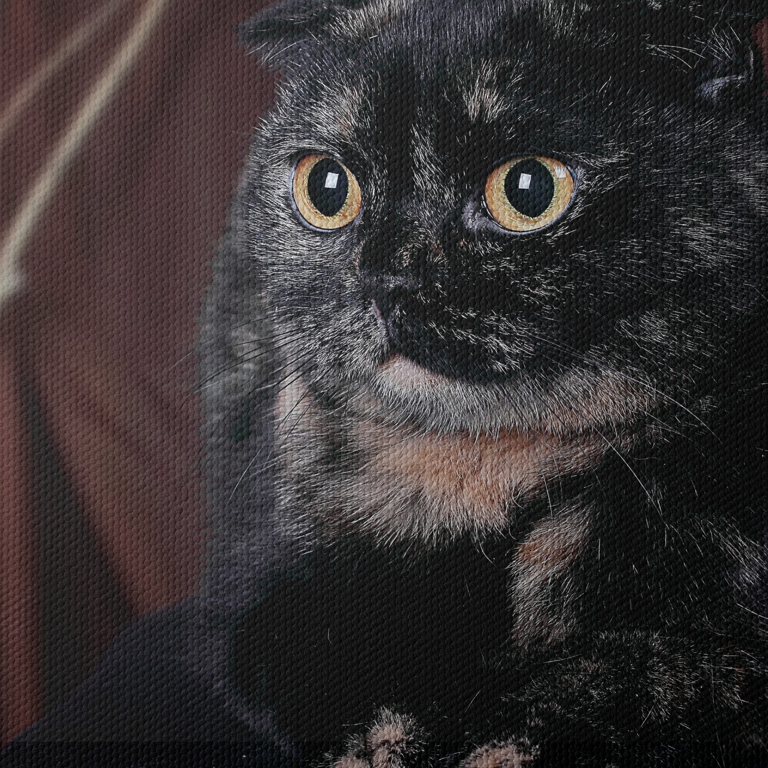 Beautiful Cat Portrait Wall Art - Image 4
