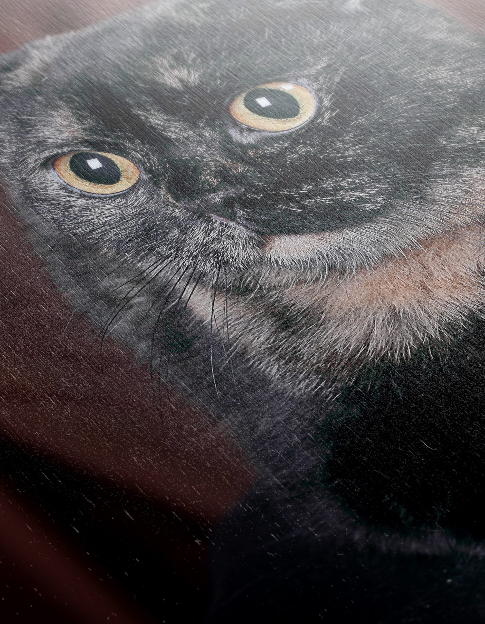 Beautiful Cat Portrait Wall Art - Image 12
