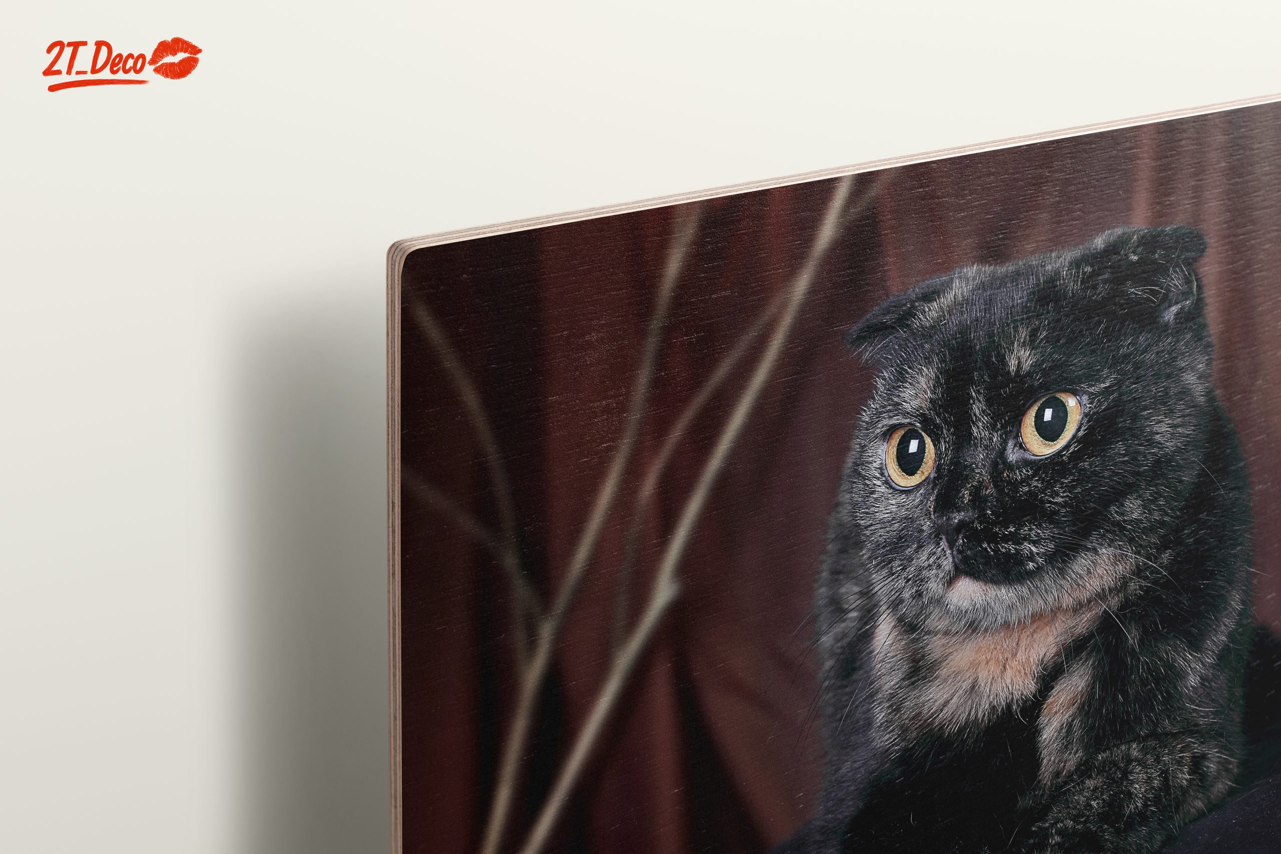Beautiful Cat Portrait Wall Art - Image 15