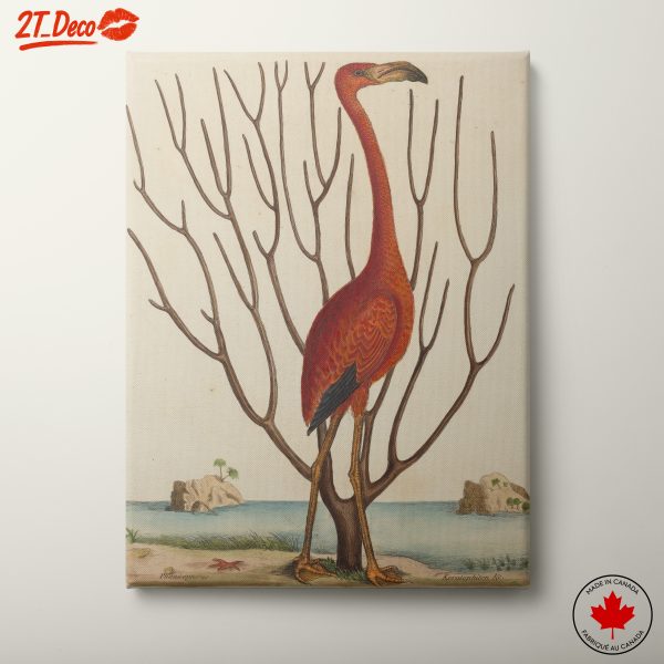 Vibrant Flamingo Standing by the Shore