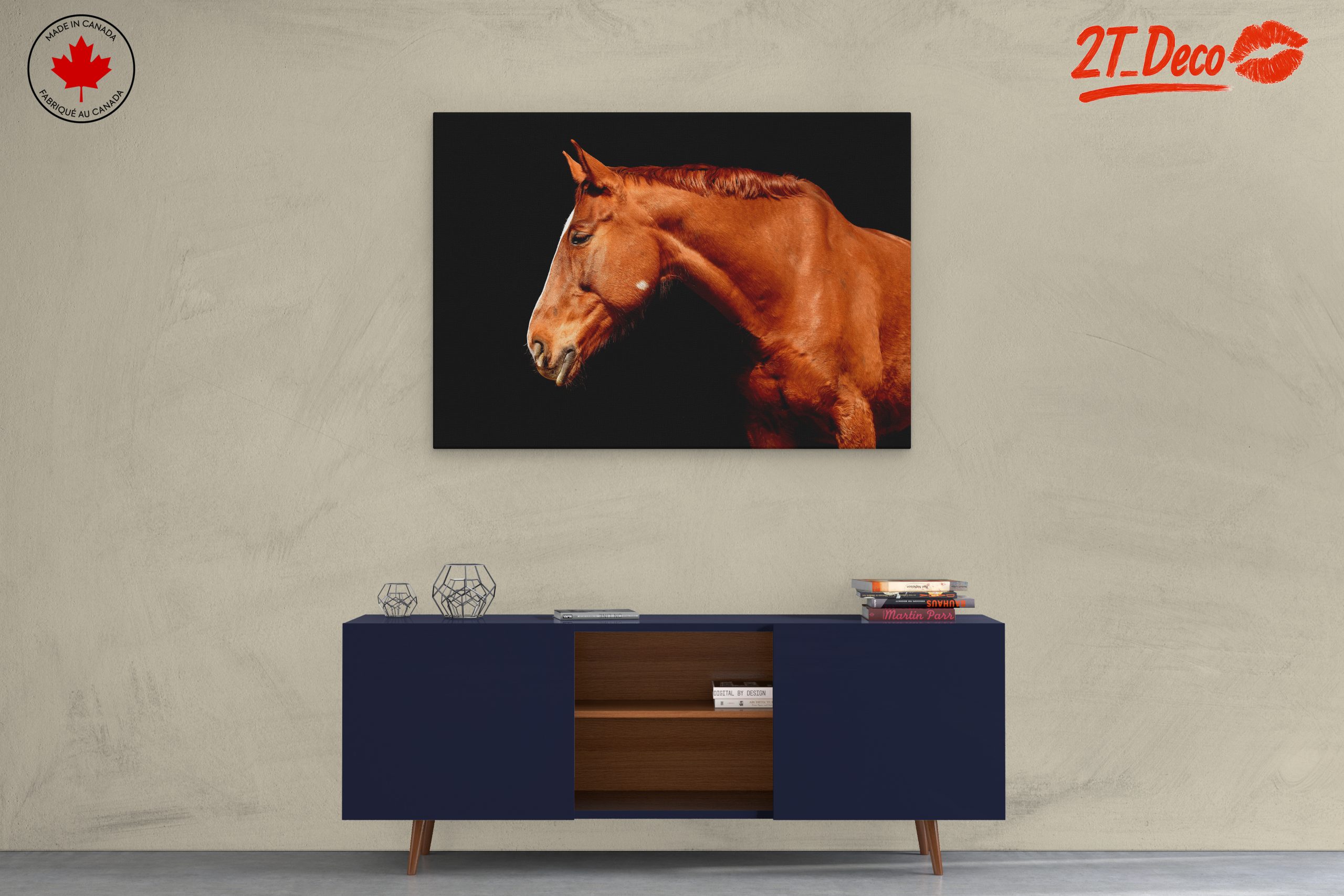 Elegant Horse Portrait on Black - Image 3